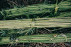 Follow the journey our hemp takes from field to finished fabric.